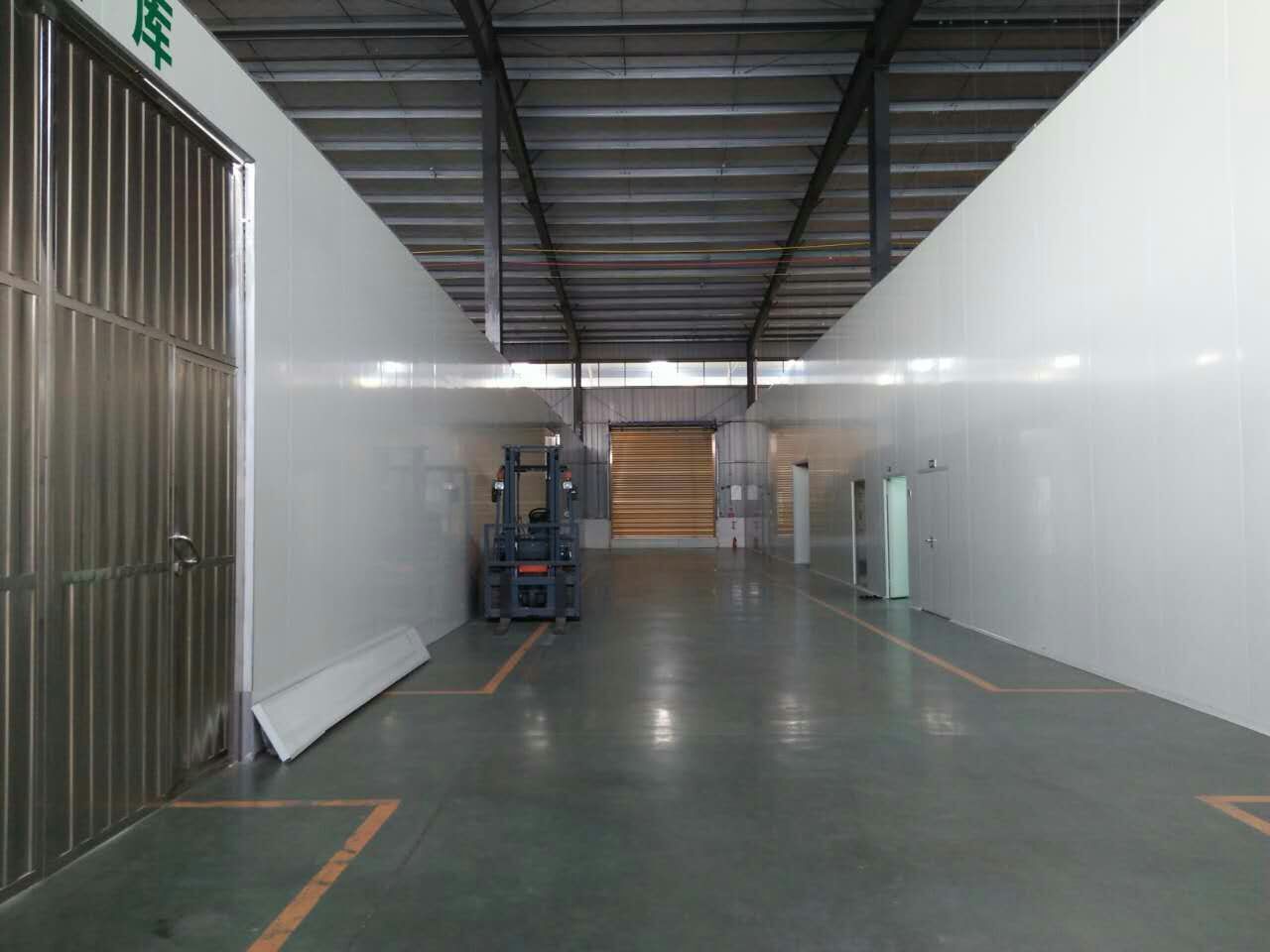 新綠方廠(chǎng)區展示